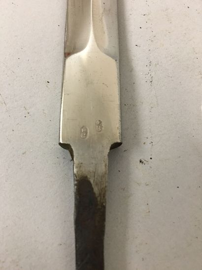 Une lame de sabre d'officier de cavalerie...