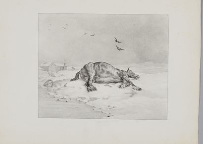 Théodore GERICAULT (1791-1824) Le Cheval...