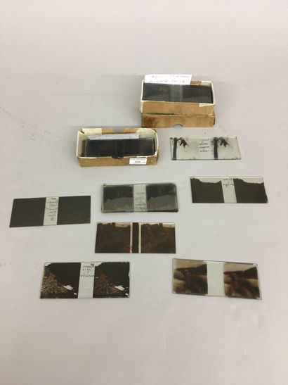 31 plaques de verre concernant la Guerre...