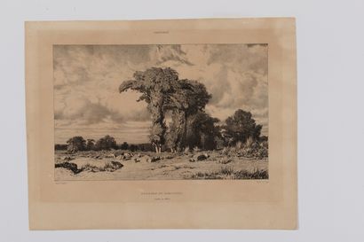 Paul HUET (1803-1869) - La Maison du garde...