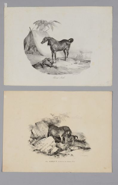 Théodore GERICAULT (1791-1824) La jument...