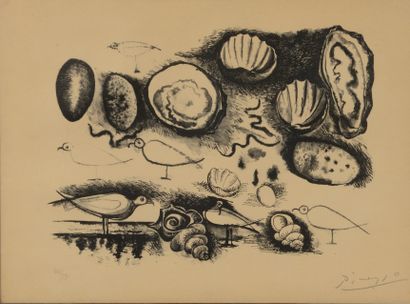 Pablo PICASSO (1881-1973) Coquillages et...