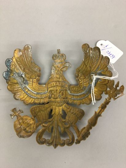 Plaque de casque à pointe d'officier en laiton...