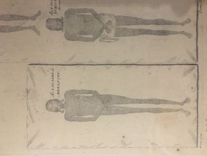 Gravure en noir: Figure des deux fameux suaires,...