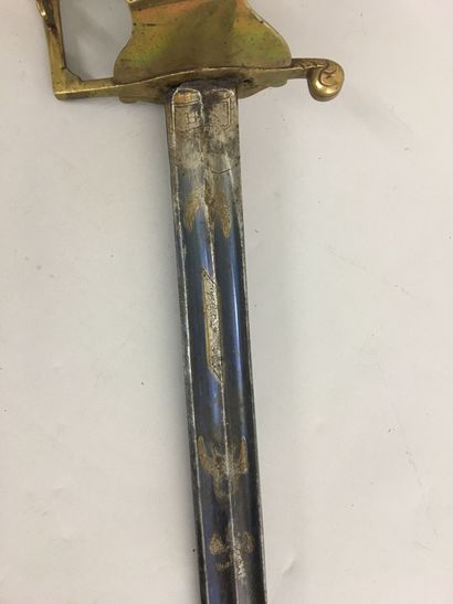 Sabre de gendarme de la maison du roi, garde...