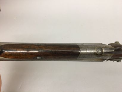 Fusil de chasse à percussion centrale à chien...