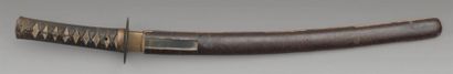 Shinto wakizashi shinogi zukuri, hamon midare,...
