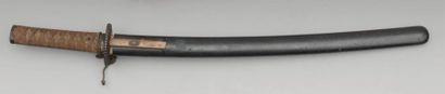 Shinto wakizashi shinogi zukuri, fusée percée...