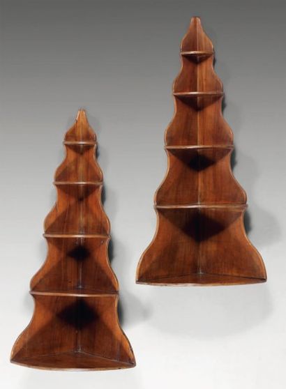 Paire d'étagères en bois fruitier patiné...