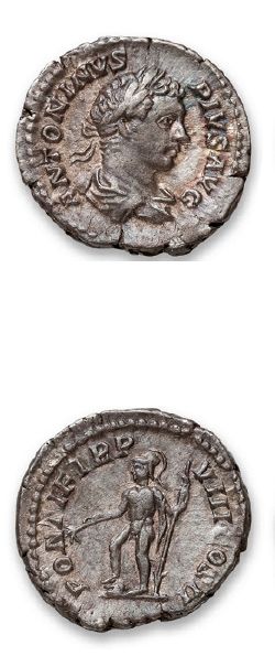 Denarius: 25 copies. Vespasian (2 ex. C....