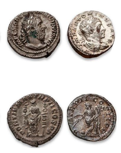 Denarius: 35 copies. Plautille (2 ex. C....