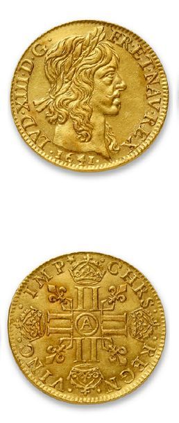 LOUIS XIII (1610-1643)
Louis d'or de Warin....