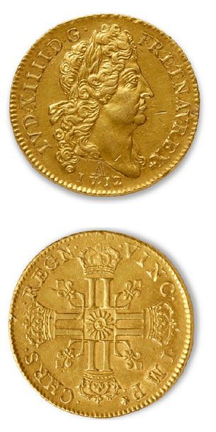 LOUIS XIV (1643-1715)
Double louis d'or au...
