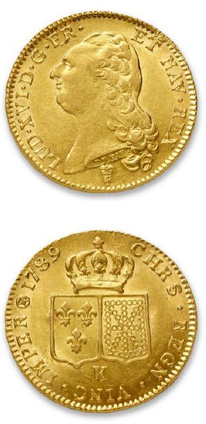 LOUIS XVI (1774-1793)
Double louis d'or au...