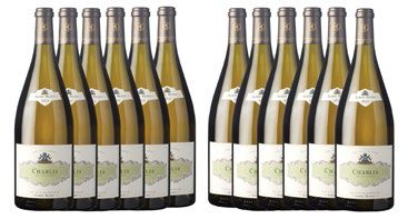 -Douze magnums de CHABLIS 2015 - Maison Albert...