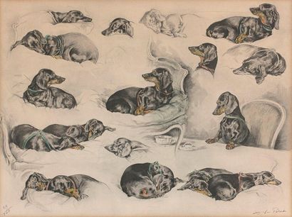 Xavier de PORET (1897-1975)

Étude de teckels
Gravure,...