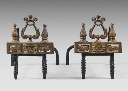Paire de chenets en bronze doré ornés d'une...