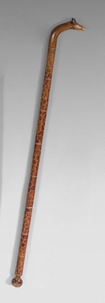 Canne en bois, le pommeau sculpté d'une tête...