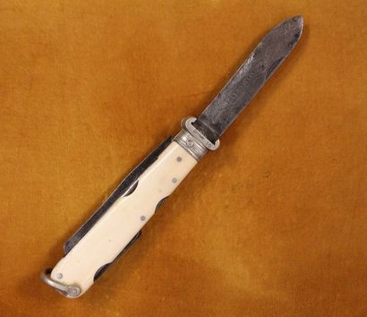 Swiss Army knife with bone handle with multiple...
