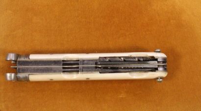 Swiss Army knife with bone handle with multiple...