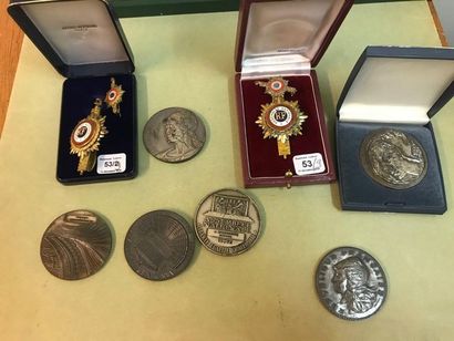 Two insignia of deputy of the National Assembly...