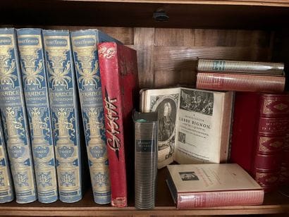 Lot de livres reliés : La France artistique...