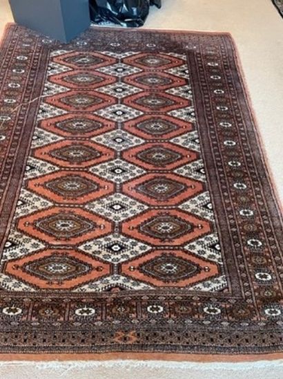 
Pakistani carpet with five borders.




167...