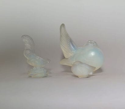 SABINO FRANCE
Pigeon, hen, rooster and turtle...