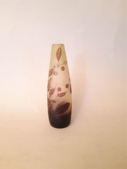 ETABLISSEMENTS GALLÉ
Lined glass obus vase...