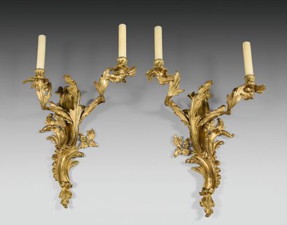 Pair of ormolu sconces with two foliage lights....