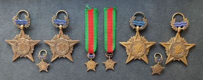 World War II - Rhine and Danube Medal of...