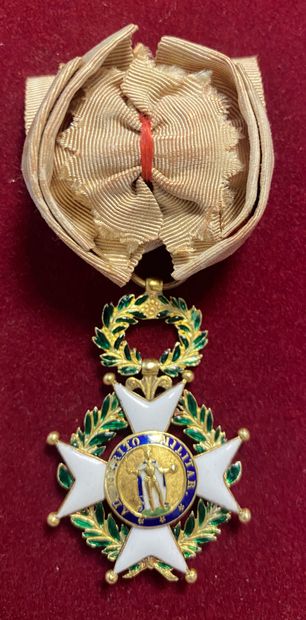 Souvenirs d'un officier des gendarmes de...