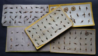 Infantry - Lot of troop and officer buttons...