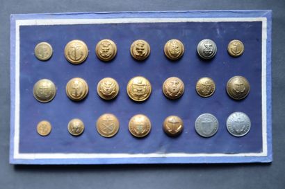 Navy - Lot of troop and officer buttons from...