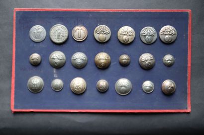 Cavalry - Lot of buttons from various periods...