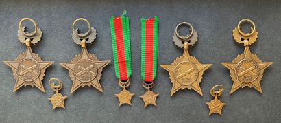 World War II - Rhine and Danube Medal of...