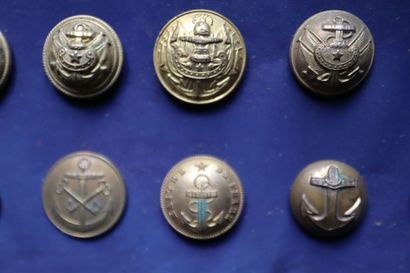Navy - Lot of troop and officer buttons from...