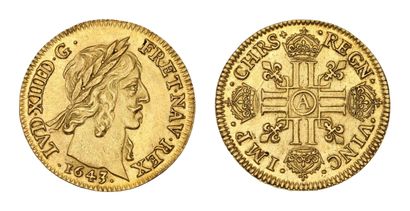 LOUIS XIII (1610-1643)
Louis d'or de Warin...