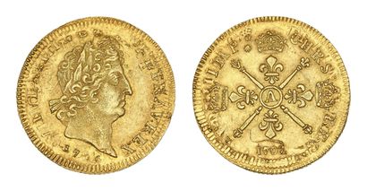 LOUIS XIV (1643-1715)
Louis d'or aux insignes....