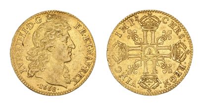 LOUIS XIV (1643-1715)
Louis d'or à la tête...