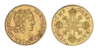 LOUIS XIII (1610-1643)
Louis d'or de Warin....