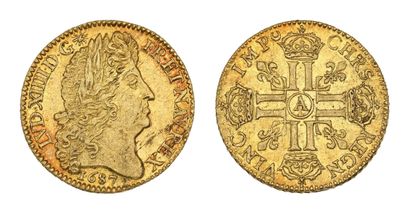 LOUIS XIV (1643-1715)
Louis d'or à la perruque...