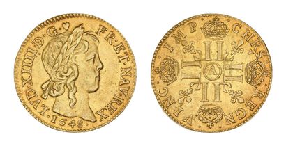 LOUIS XIV (1643-1715)
Louis d'or à la mèche...