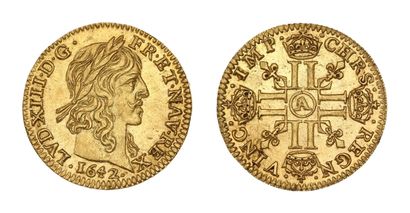 LOUIS XIII (1610-1643)
Warin half gold louis....