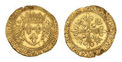 LOUIS XII (1498-1514)
Écu d'or au porc-épic...