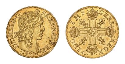 LOUIS XIII (1610-1643)
Louis d'or de Warin...
