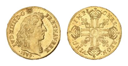 LOUIS XIV (1643-1715)
Louis d'or à la tête...