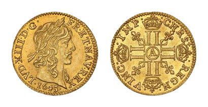 LOUIS XIII (1610-1643)
Warin half gold louis....