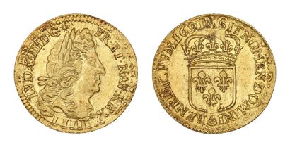 LOUIS XIV (1643-1715)
Louis d'or à l'écu....