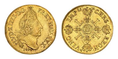 LOUIS XIV (1643-1715)
Double louis d'or aux...